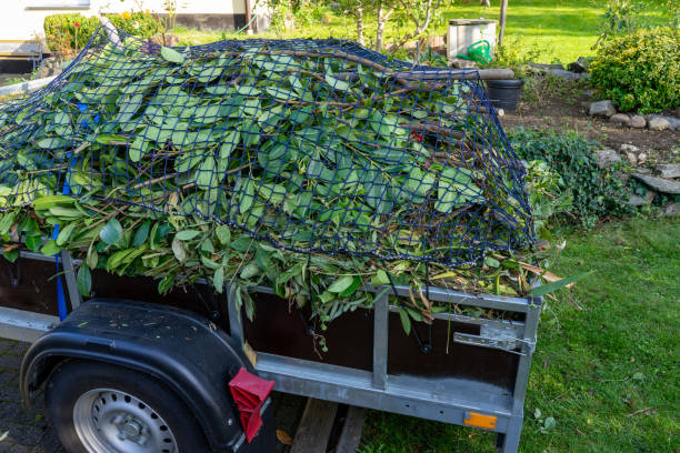 Best Same-Day Junk Removal Services  in Monroeville, OH